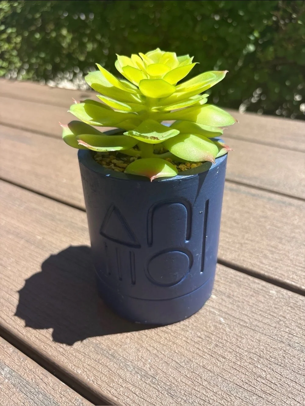 Bright Lime Green Succulent Navy Planter Container
